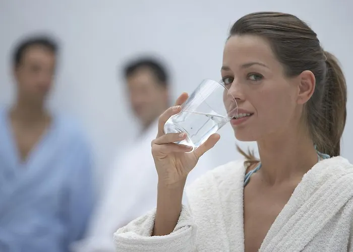 Hotel Balneario De Cestona 3*